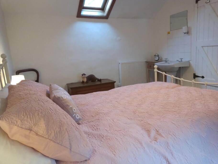 באלנאו פסטיניוג Ty Hen - Quirky Grade II Listed Cottage מראה חיצוני תמונה